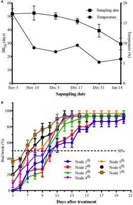 Comparative transcriptome analysis of genes involved in paradormant bud release response in ‘Summer Black’ grape